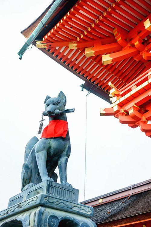ศาลเจ้าเทพอินาริ (伏見稲荷大社, Fushimi Inari Shrine) หรือที่คนไทยชอบเรียกกันว่าศาลเจ้าแดงหรือศาลเจ้าจิ้งจอกเป็นศาลเจ้าชินโต(Shinto)ที่มีความสำคัญแห่งหนึ่งของเมืองเกียวโต(Kyoto) มีชื่อเสียงโด่งดังจากประตูโทริอิ (Torii Gate) หรือเสาประตูสีแดงที่เรียงตัวกันข้างหลังศาลเจ้าจำนวนหลายหมื่นต้นจนเป็นทางเดินได้ทั่วทั้งภูเขาอินาริ ที่ผู้คนเชื่อกันว่าเป็นภูเขาศักสิทธ์ โดยเทพอินาริจะเป็นตัวแทนของความอุดมสมบูรณ์ การเก็บเกี่ยวข้าว รวมไปถึงพืชผลไร่นาต่างๆ และมักจะมีจิ้งจอกเป็นสัตว์คู่กาย(บ้างก็ว่าท่านชอบแปลงร่างเป็นจิ้งจอก) จึงสามารถพบเห็นรูปปั้นจิ้งจอกมากมายด้วยเช่นกัน ศาลเจ้าแห่งนี้มีความเก่าแก่มากถูกสร้างขึ้นตั้งแต่ก่อนสร้างเมืองเกียวโตซะอีก คาดกันว่าจะเป็นช่วงประมาณปีค.ศ. 794 หรือกว่าพันปีมาแล้ว